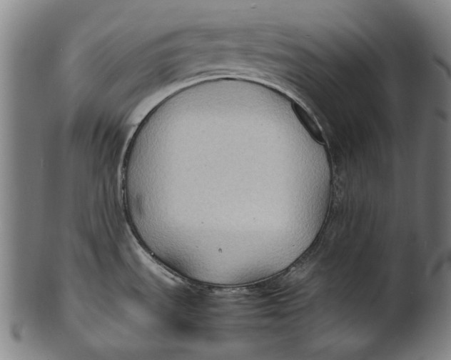 X0000100851535200807111203