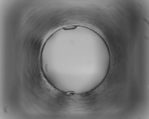 X0000100851536200807111203