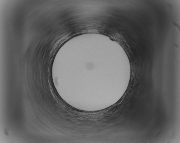 X0000100850001200807181107
