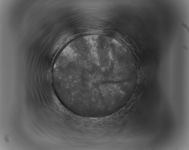 X0000100850002200807181107