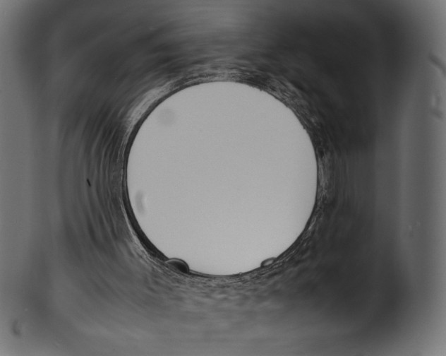 X0000100850003200807181107