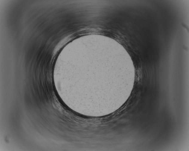 X0000100850004200807181107
