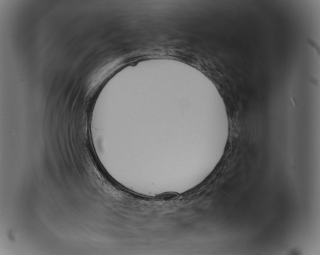 X0000100850005200807181107