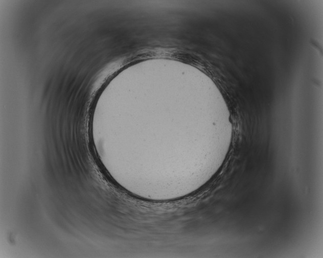 X0000100850006200807181107