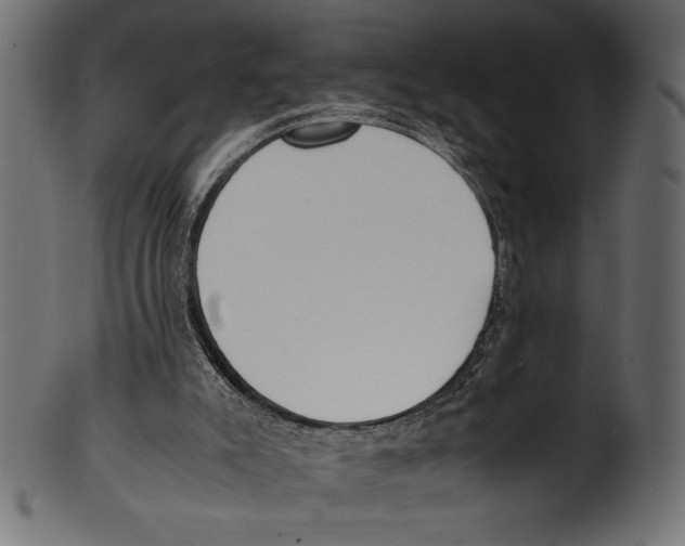 X0000100850007200807181107