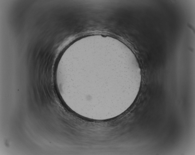 X0000100850008200807181107