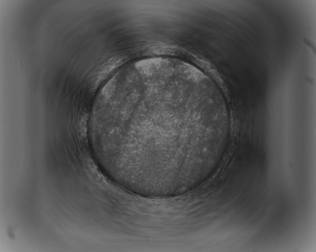 X0000100850010200807181107