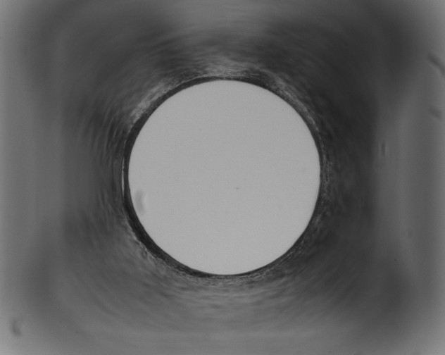 X0000100850011200807181107
