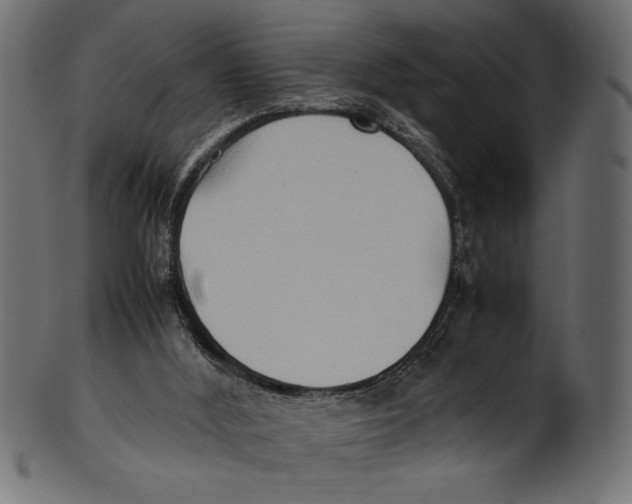X0000100850012200807181107