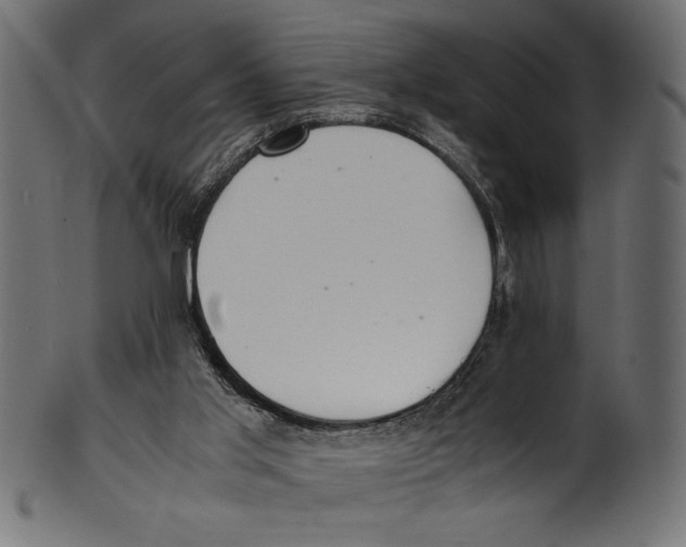 X0000100850013200807181107