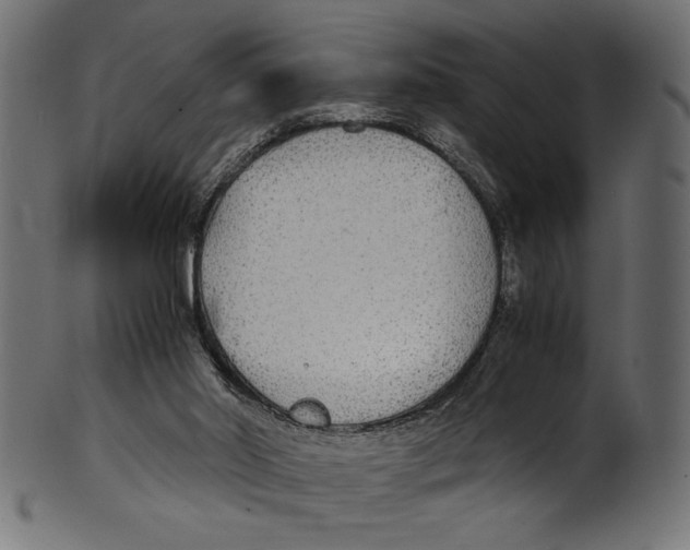 X0000100850014200807181107