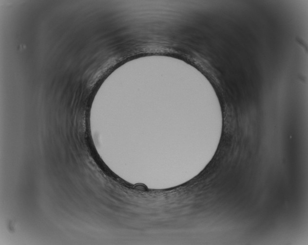 X0000100850015200807181107