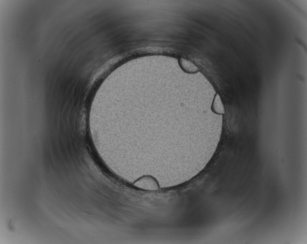 X0000100850016200807181107