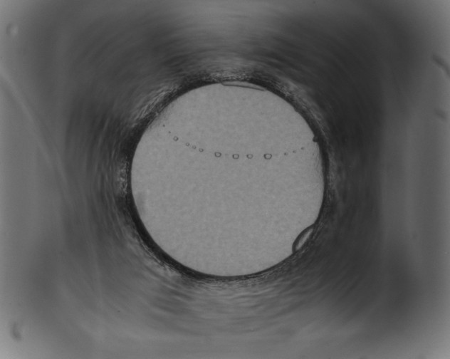 X0000100850017200807181107