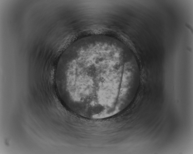 X0000100850018200807181107