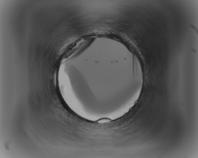 X0000100850019200807181107