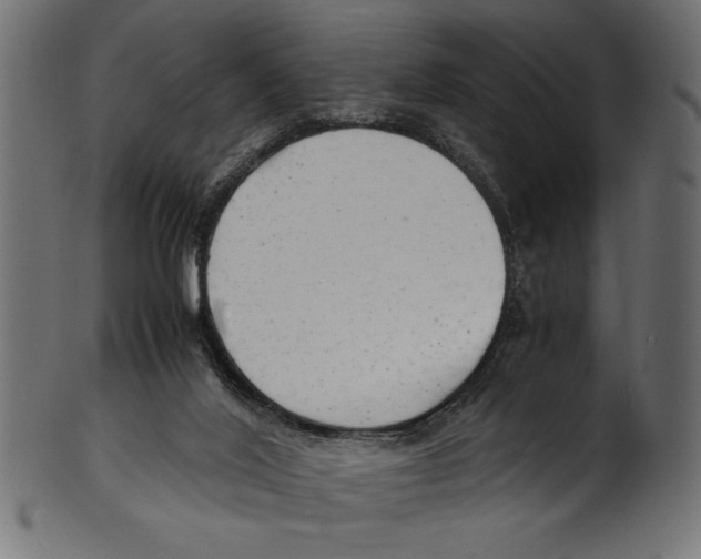 X0000100850020200807181107
