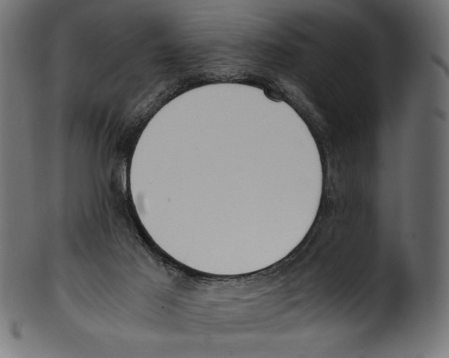 X0000100850021200807181107