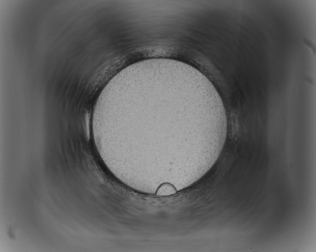 X0000100850022200807181106