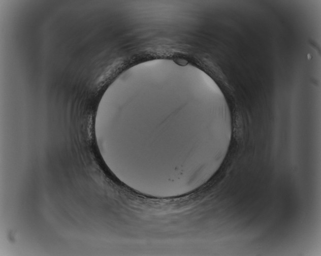 X0000100850023200807181106