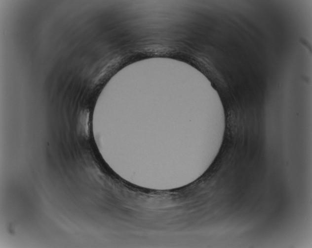 X0000100850024200807181106