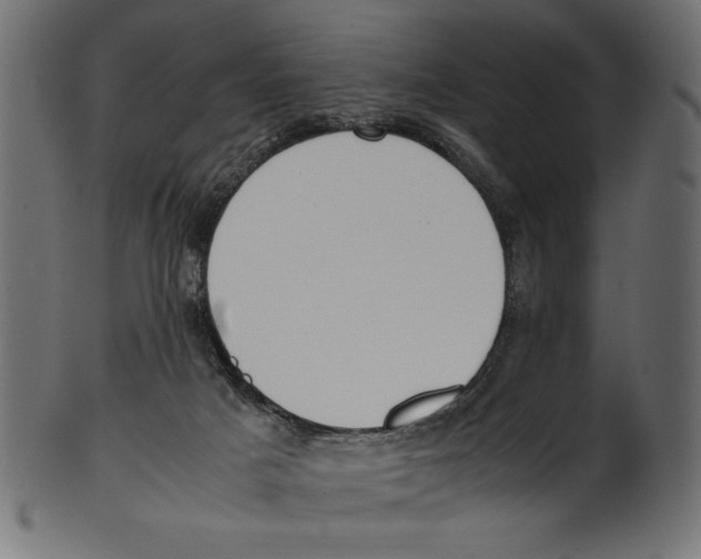 X0000100850025200807181106