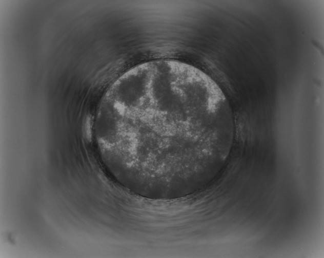 X0000100850026200807181106