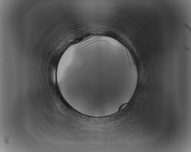 X0000100850027200807181106