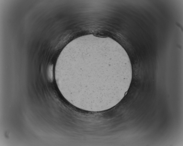 X0000100850028200807181106