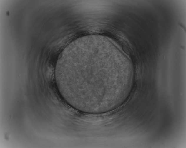 X0000100850029200807181106