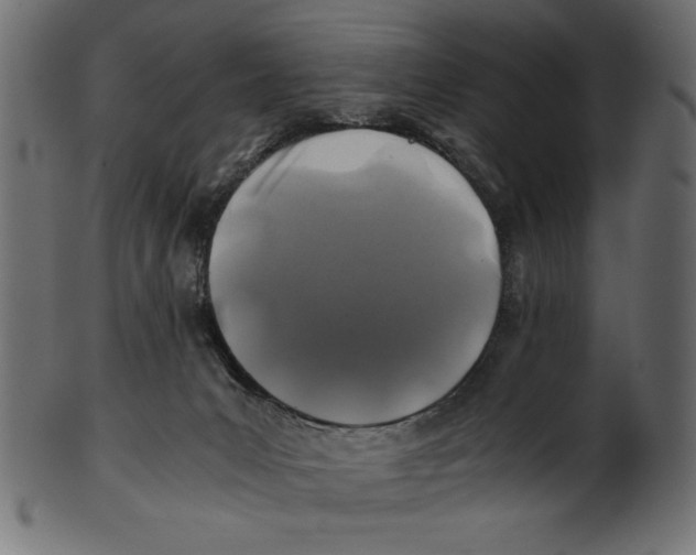 X0000100850031200807181106