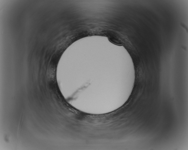 X0000100850033200807181106