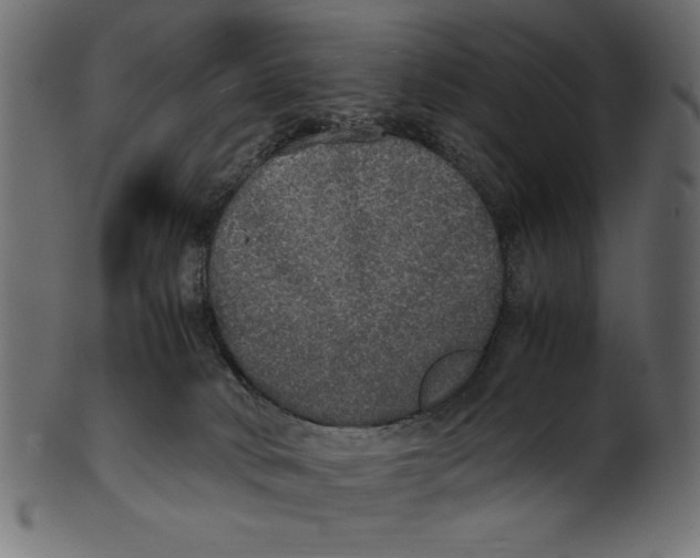 X0000100850034200807181106