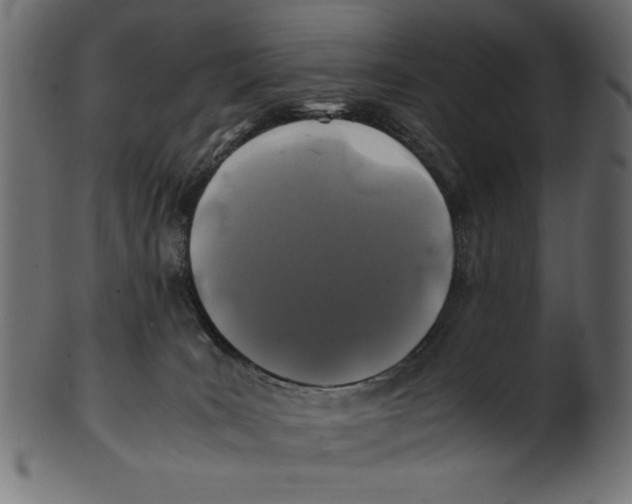 X0000100850035200807181106