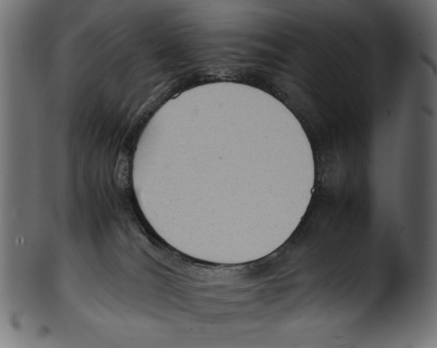 X0000100850036200807181106