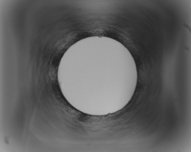 X0000100850037200807181106