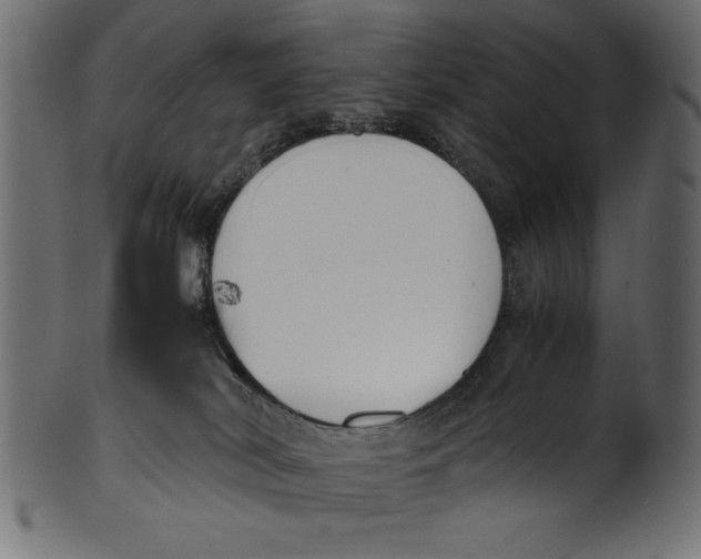 X0000100850038200807181106