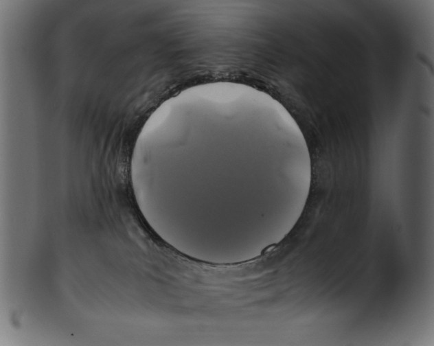 X0000100850039200807181106