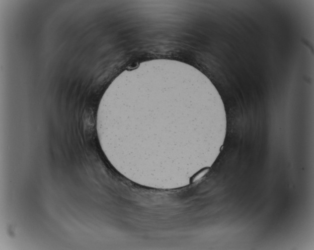 X0000100850040200807181106