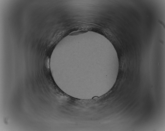X0000100850041200807181106
