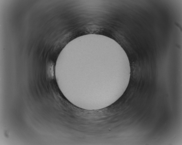 X0000100850042200807181106