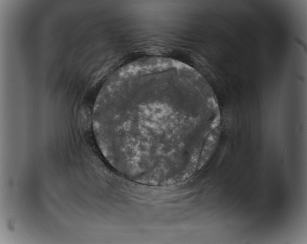 X0000100850043200807181106