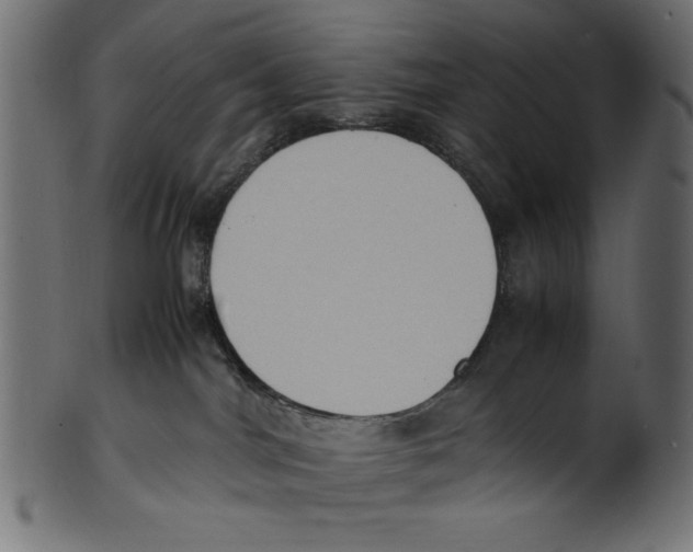 X0000100850044200807181106