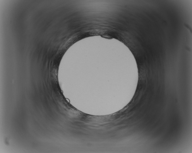 X0000100850045200807181106