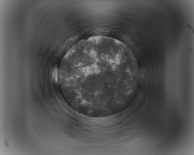 X0000100850046200807181106