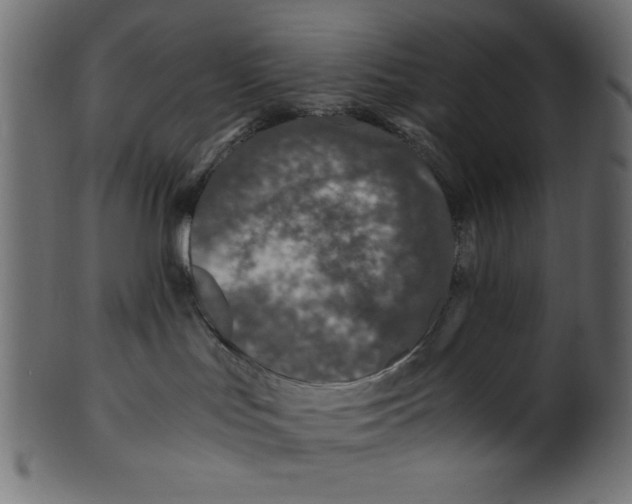 X0000100850047200807181106