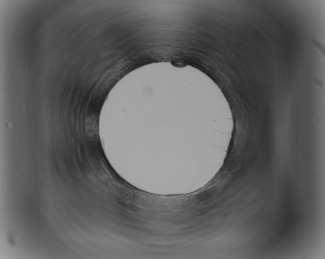 X0000100850048200807181106