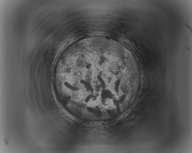 X0000100850049200807181105