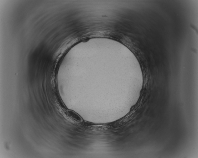 X0000100850050200807181105