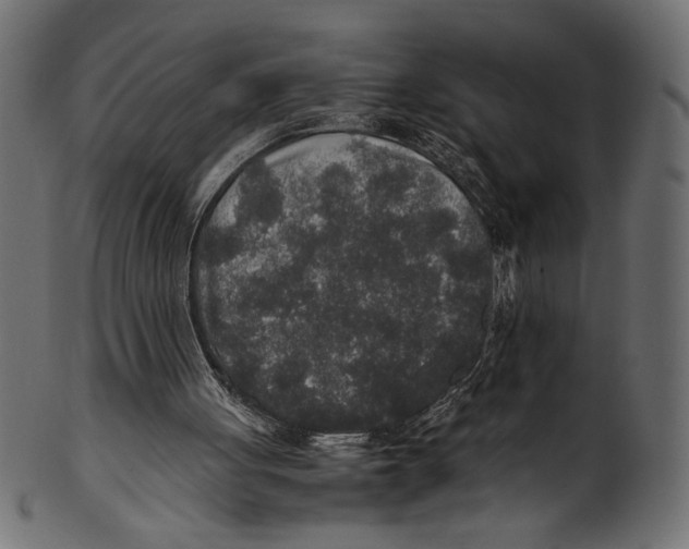 X0000100850051200807181105
